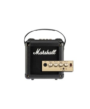 Combo Marshall MG2FX