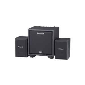 Amplificador Roland CM-110