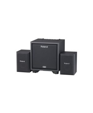 Amplificador Roland CM-110