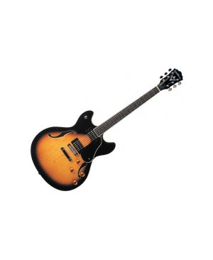 Guitarra Eléctrica Washburn HB-30 TS