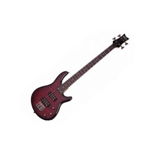 Bajo Eléctrico Schecter Raiden Special 4