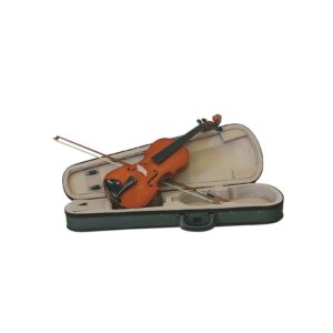 Violín Palatino 35VN