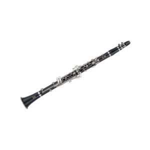 Clarinete Yamaha YCL-650E