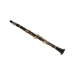 Clarinete Yamaha YCL-CSG H