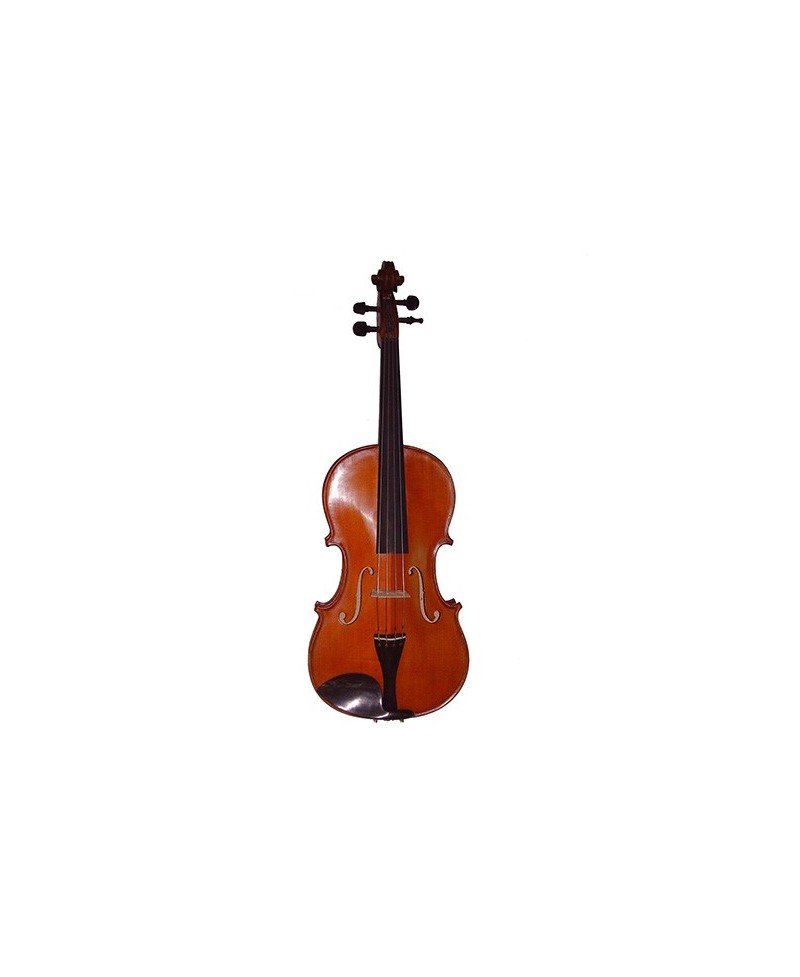 Violín Stentor Scott Cao Andante