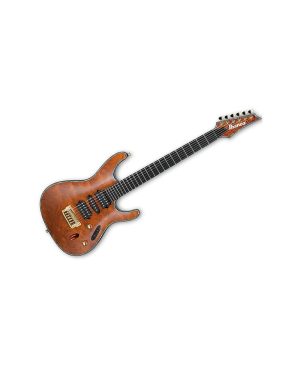 Guitarra Eléctrica Ibanez SIX70FDBG-NT