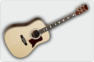 Guitarras Acústicas
