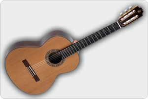 Guitarras Españolas