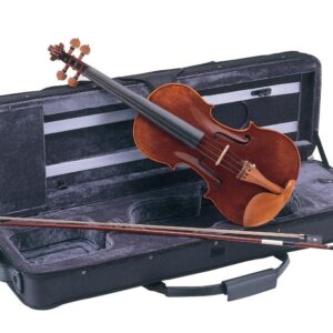 VIOLÍN CARLO GIORDANO VS2 1/2