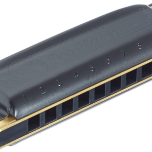 ARMÓNICA HOHNER PRO HARP EN RE