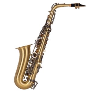 SAXO ALTO J. MICHAEL BPAL-AL1100AG