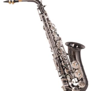 SAXO ALTO J. MICHAEL AL1200BS