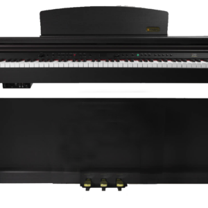 PIANO DIGITAL ARTESIA DP10-E