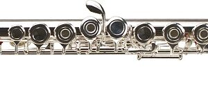 FLAUTA TRAVESERA AMADEUS INFANTIL EN DO FIA450S