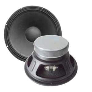 ALTAVOZ DE 8 LSW0810