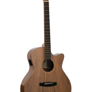 GUITARRA ACÚSTICA TANGLEWOOD SERIE WINTERLEAF EXOTIC BLACK WALNUT
