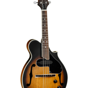 MANDOLINA TANGLEWOOD TWMFVSE