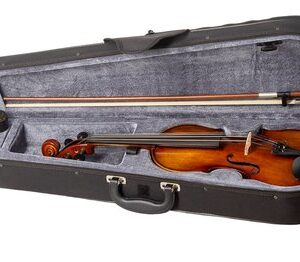 VIOLÍN CARLO GIORDANO VS15 4/4
