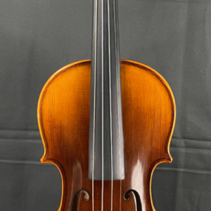 VIOLÍN AMADEUS 4/4 BRILLO VT505E44B