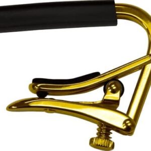CEJILLA STANDARD CLÁSICA GOLD