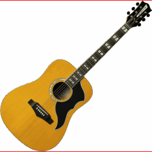 GUITARRA ACÚSTICA DREADNOUGHT RANGER 6 VR A/E - Natural
