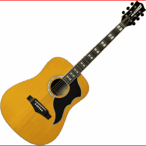 GUITARRA ACÚSTICA DREADNOUGHT RANGER 6 VR - Natural