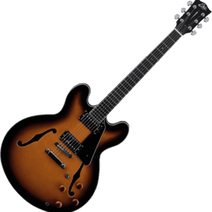 GUITARRA ELÉCTRICA SEMICAJA SA350 DOBLE CUTWAY  - Sunburst 