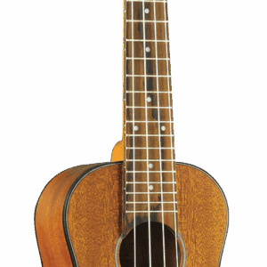 UKELELE DUO CONCERTO