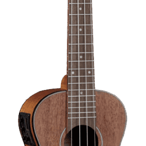 UKELELE DUO CONCERTO ELÉCTRICO