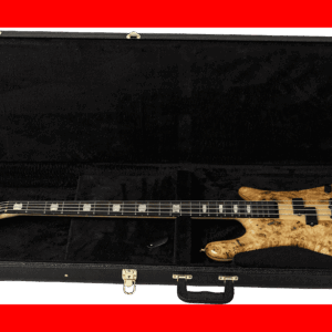 ESTUCHE BAJO SPECTOR