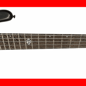 BAJO ELÉCTRICO SPECTOR NS DIMENSION 5 - HAUNTED MOSS MATTE