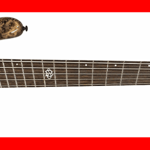 BAJO ELÉCTRICO SPECTOR NS DIMENSION 5 - SUPER FADED BLACK GLOSS