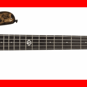 BAJO ELÉCTRICO NS ETHOS 5 - SUPER FADED BLACK GLOSS