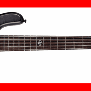 BAJO ELÉCTRICO SPECTOR NS PULSE II 5 - BLACK STAIN MATTE