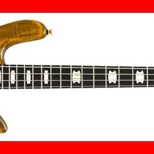 BAJO ELÉCTRICO SPECTOR EURO LT 4 - Tyger Eye