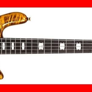BAJO ELÉCTRICO SPECTOR EURO LT 5 - Tyger Eye