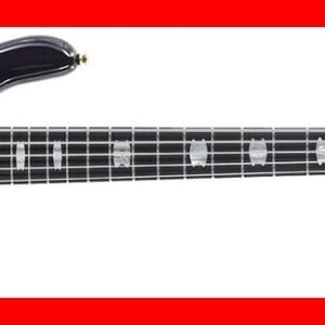 BAJO ELÉCTRICO SPECTOR EURO LT 5 - Violet Fade