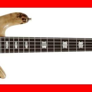 BAJO ELÉCTRICO SPECTOR EURO LX 5 - Poplar Burl Natural
