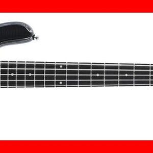 BAJO ELÉCTRICO SPECTOR LEGEND STD 5 - Black Stain