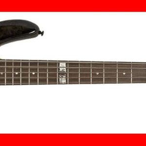 BAJO ELÉCTRICO SPECTOR SIGNATURE DAN BRIGGS 5 - Black Walnut Stain