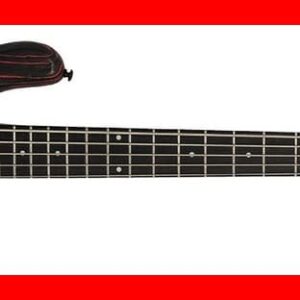BAJO ELÉCTRICO SPECTOR NS PULSE 5 CUERDAS - Cinder Red