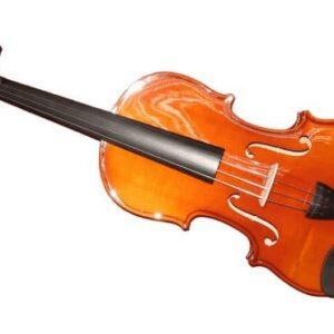VIOLIN HERALD MADERA SOLIDA 4/4 HERALD Diapason Ebano