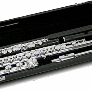 ESTUCHE DOBLE PARA FLAUTA + FLAUTA PICCOLO