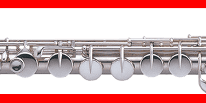 FLAUTA TRAVESERA ALTO CON CABEZA CURVA PEARL PFA201U