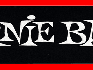 ALFOMBRA ERNIE BALL 200 x 70 cm