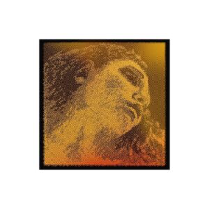 Cuerda violín Pirastro Evah Pirazzi Gold 415921 4ª Sol plata Medium 4/4