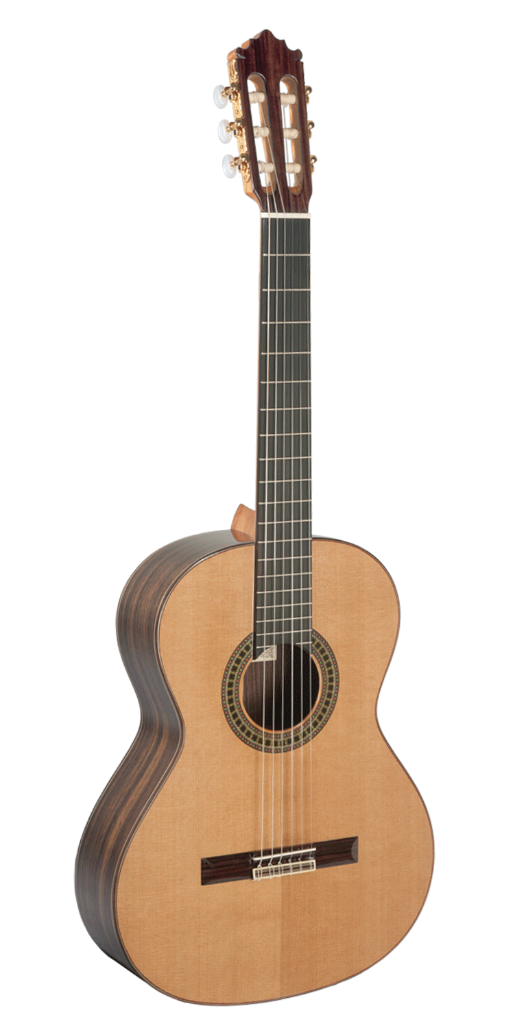 Guitarra Paco Castillo 204