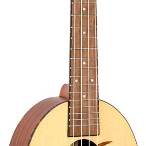 RUPA5