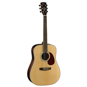 CORT EARTH100RW NAT