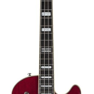 SWEDE BASS WCT
